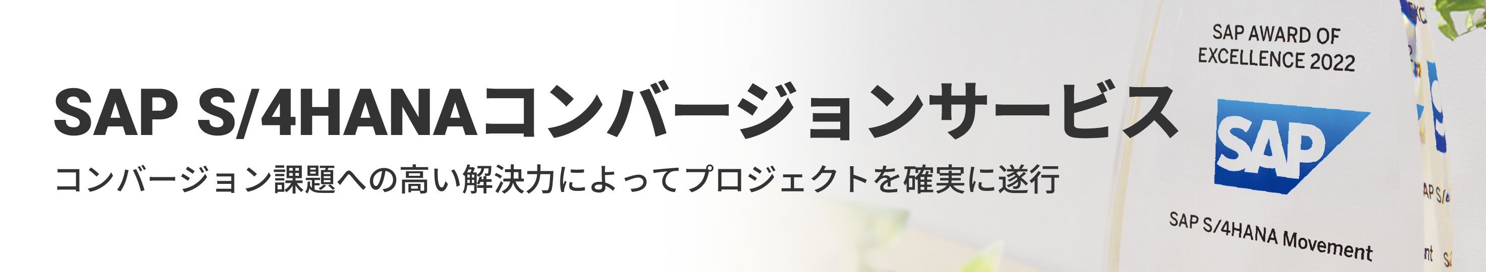 SAP S/4HANAコンバージョンサービス