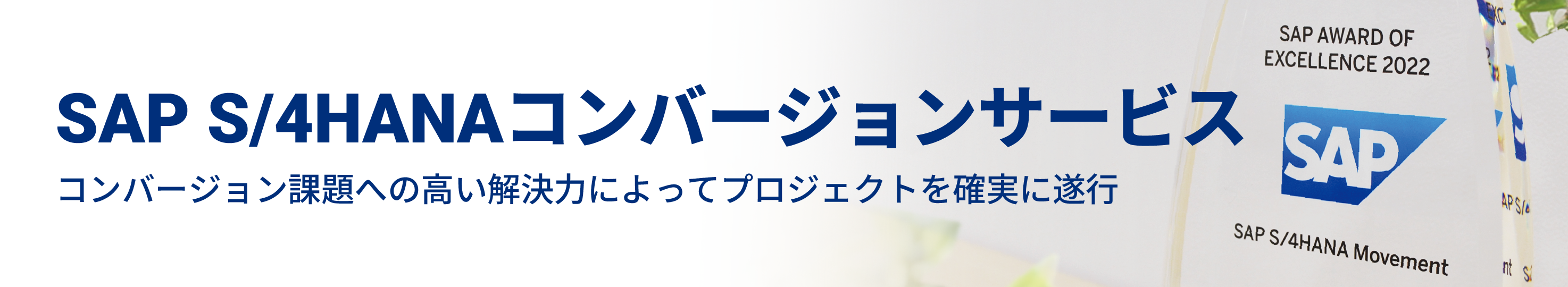 SAP S/4HANAコンバージョンサービス
